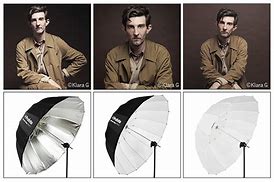 Image result for Silver vs White Umbrella Photography