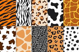 Image result for Animal Skin Patterns