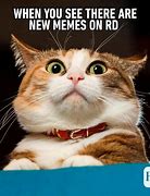 Image result for Memes Very Funny LOL