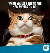 Image result for Funny Animal Humor