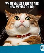 Image result for Actually Funny Memes