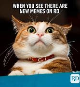 Image result for Animal Funnies