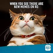 Image result for Realistic Animal Memes