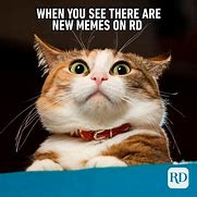 Image result for May Animal Meme
