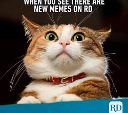 Image result for Meme Pictures
