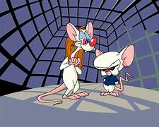 Image result for Pinky and the Brain Cage