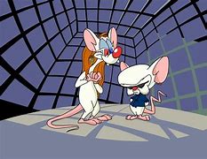 Image result for Pinky and the Brain Wallpaper