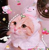 Image result for Cutecore Cat 300X300