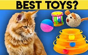 Image result for Petlinks Cat Toys