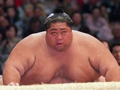Image result for Hawaiian Sumo Wrestler
