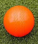 Image result for Backyard Cricket