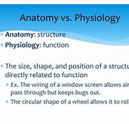 Image result for Anatomy vs Physiology