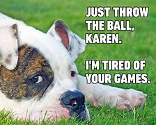 Image result for Kid-Friendly Dog Memes