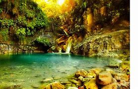 Image result for Tropical Wallpaper 4K