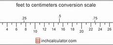 Image result for 1 Foot Inch Cm
