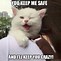 Image result for Stuffed White Cat Meme