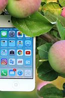 Image result for iPhone Mockup Tree