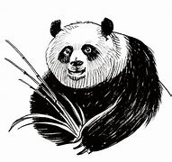 Image result for Black and White Panda Bear with Bamboo