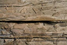 Image result for Old Plank of Wood