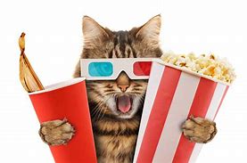 Image result for Grumpy Cat Movie