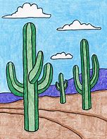 Image result for Different Types of Cactus in Arizona Drawing