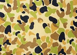 Image result for Ec211001 Case Camo