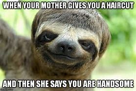 Image result for Sloth Meme HR Joke