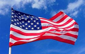 Image result for American Flag Different Colors