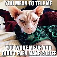 Image result for Grumpy Cat Coffee Meme