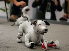 Image result for Sony Aibo Price