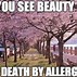 Image result for Allergy Meme