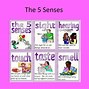 Image result for 5 Senses Chart