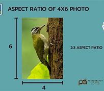 Image result for 4 6 Photo Size
