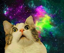Image result for Galaxy Kitten Game