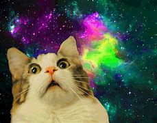 Image result for Cat Galaxy Glasses