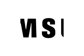 Image result for Samsung Smartphone Logo