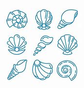Image result for Vector Clam Shell Shape
