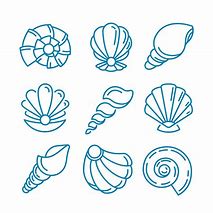 Image result for Clam Shell Vector