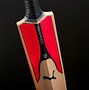 Image result for Softball Cricket Bat