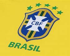 Image result for NFL Brazil Logo