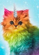 Image result for Trippy Kitten Wallpaper