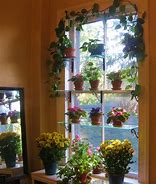 Image result for Large Garden Window