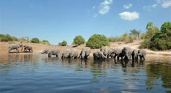 Image result for Botswana Landmarks