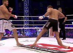 Image result for MMA Injuries