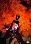 Image result for Bunny Phone Case with a String