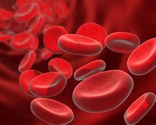 Image result for Red Blood Cells Anemia