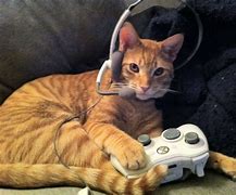Image result for Gaming Cat Pfps GTA
