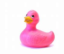 Image result for Pink Duck