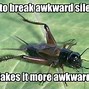 Image result for Funny Cricket Silence