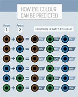 Image result for Predicting Eye Color Chart